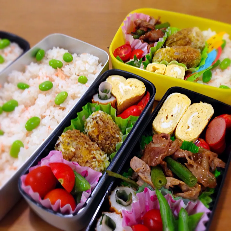 Snapdishの料理写真:お弁当8.7|きたろうさん