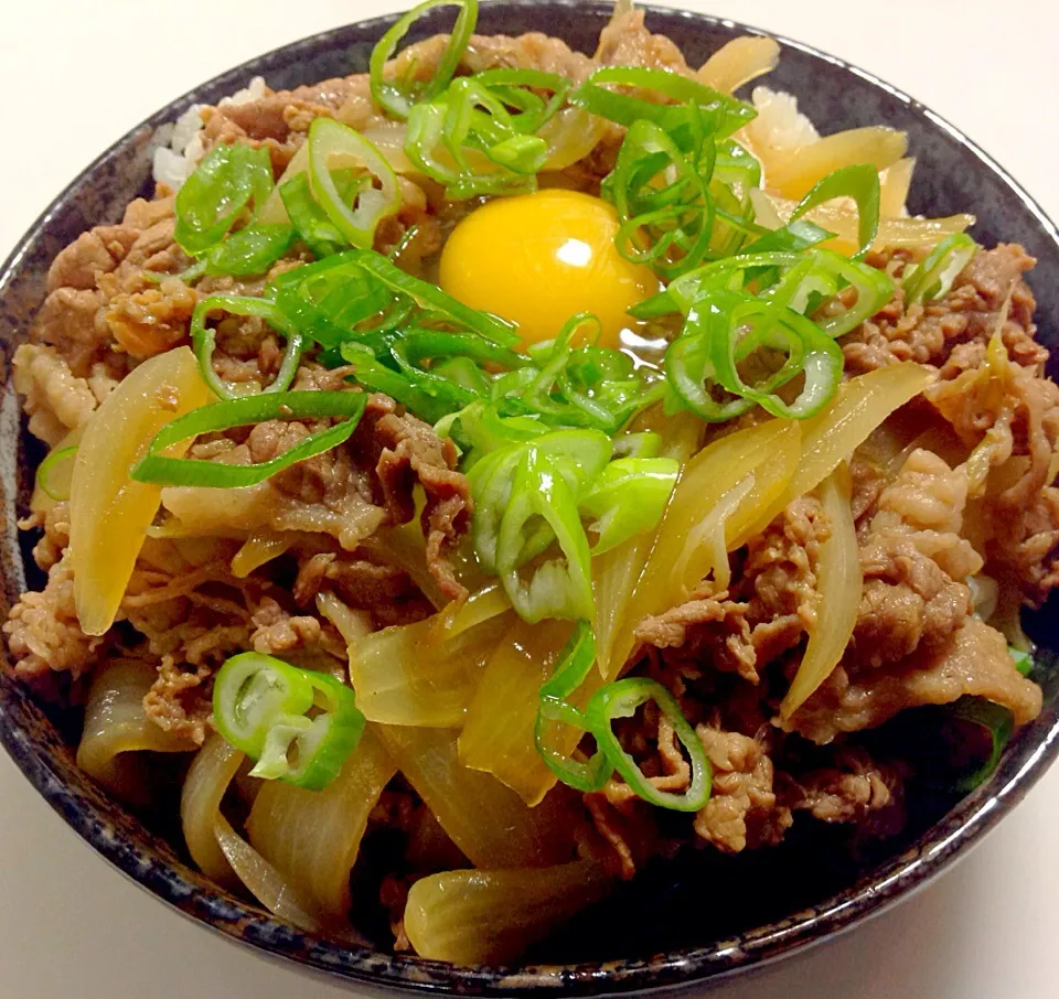 Gyudon @home|Qchannel Tachifujiさん