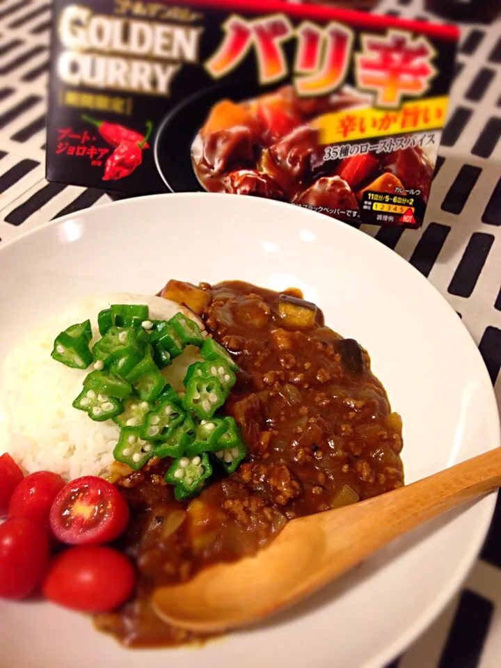 バリ辛で夏カレー🍀ウホウホしながら食べるカレー❤️|mochaさん