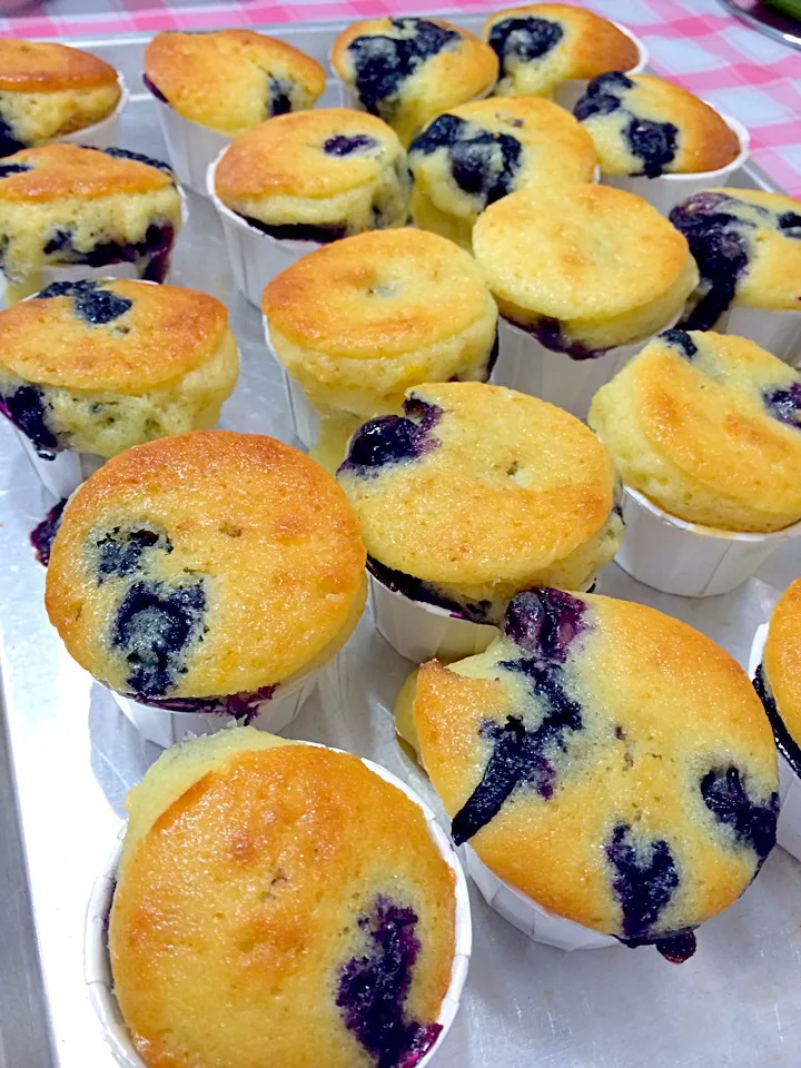 Blueberry muffins|shirlynさん