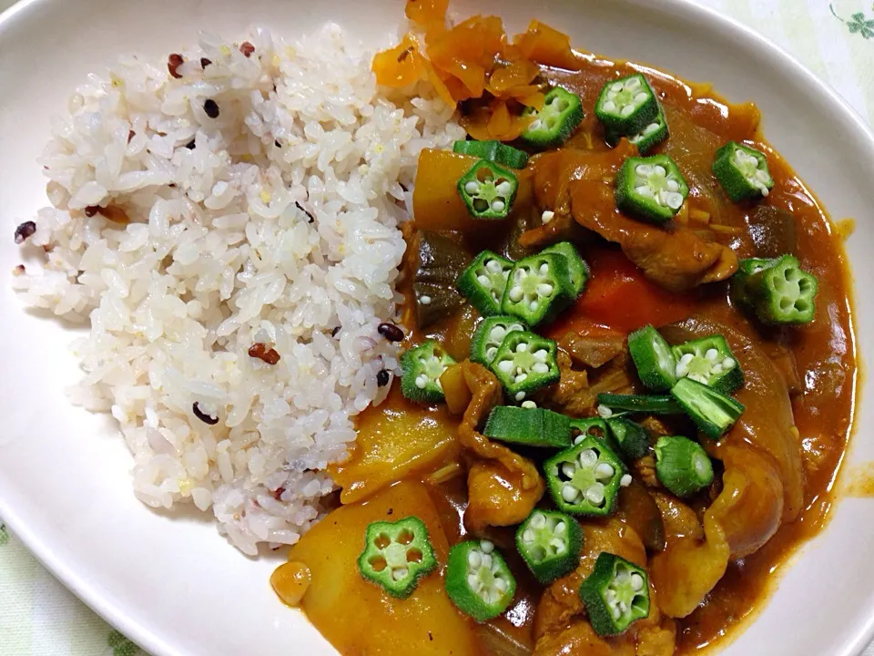 茄子とオクラのポークカレー🍛|こいちさん