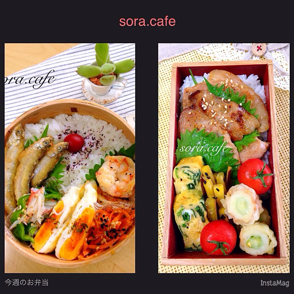 今週のお弁当✨|soraさん