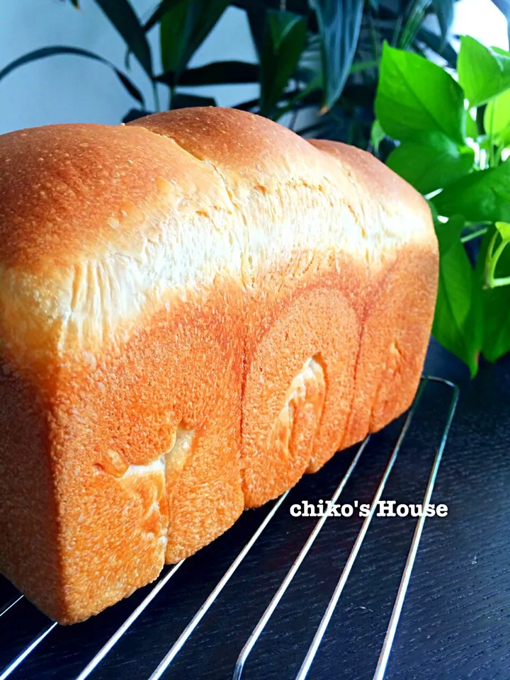 ホシノ山食|chikoのおうちさん