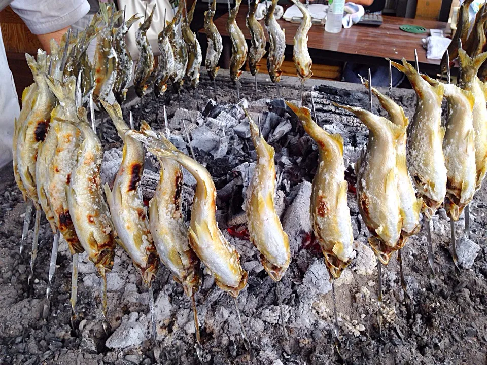 鮎塩焼き|星さん