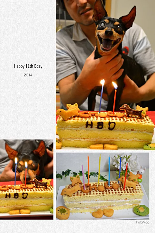 Snapdishの料理写真:Birthday Cake|💖 ジジ 💖さん