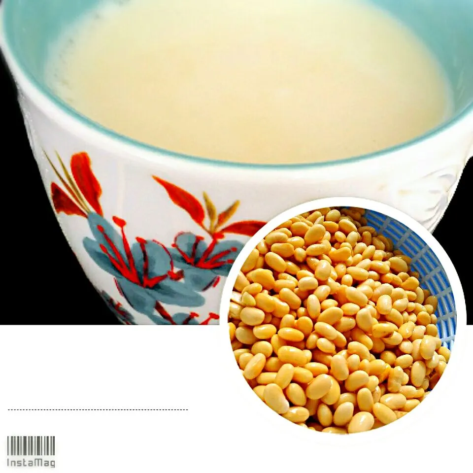 Homemade soy milk|Skyeさん