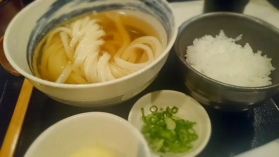 大阪駅前第三ビルの「うだま」のひやかけうどんです。おだしがほんとにおいしくて最高です。麺はこしがあってかむほどに味わいが深くなります。小で250g!ごはんととろ玉天でいただきました。|tomingさん