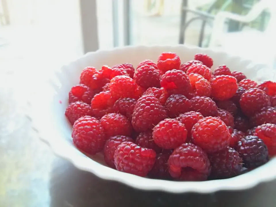 Freshly picked rasberries <3|Julie Tranさん