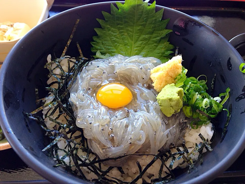 Snapdishの料理写真:朝食はマリンタウンで生しらす丼|としおさん