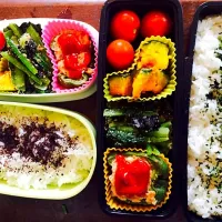 ある日のお弁当|Aileenさん