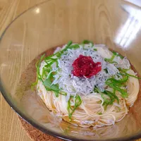 梅しらす素麺