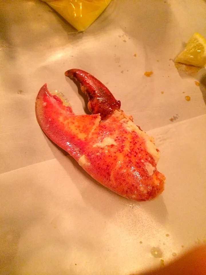 Snapdishの料理写真:Boston lobster claw|prissyさん