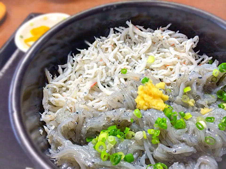 釜あげ➕生しらす丼|ぺぎこさん