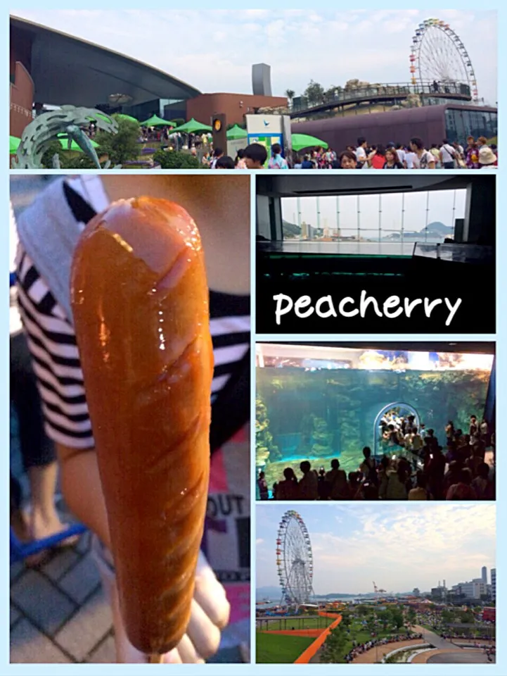 Snapdishの料理写真:夜の水族館へGO!!＆ついでに関門海峡花火大会2014へ？①|☆ぴ〜ちゃん☆さん