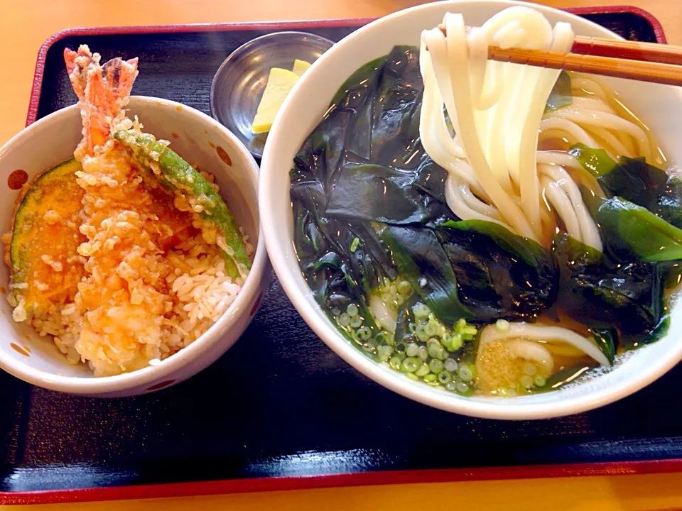 札幌 寺屋 ワカメうどん|pipioujiさん