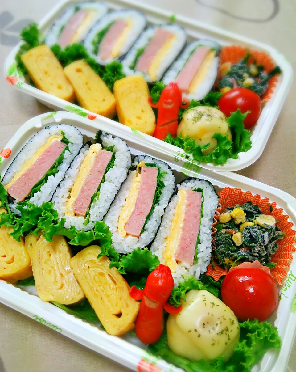 お弁当。スパムおにぎり🍱|ちはるさん