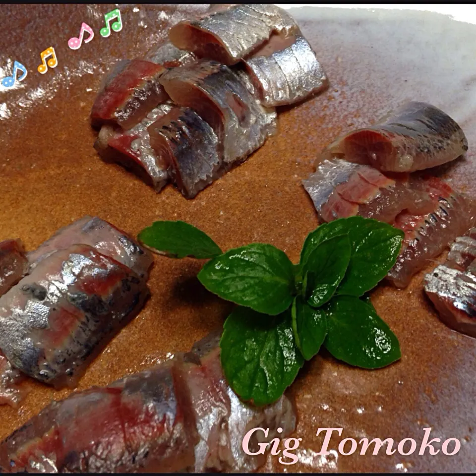 関門の釣り鰯|GIG Tomokoさん