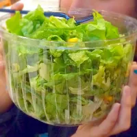 Biggest salad EVER|Vannessa Campoverdeさん