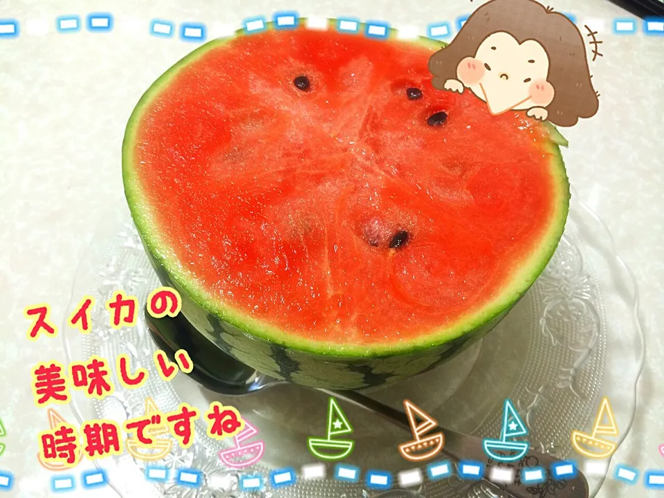 今年はスイカ沢山食べるぞ🍉|みきぴょん♪さん