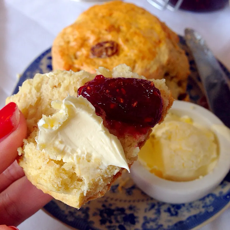 #creamtea #scone #tea #afternoon #clottedcrem #blackbird|Meeさん