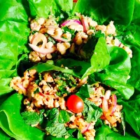 🐔 larb chicken half spicy ➕ not spicy|wikkyさん