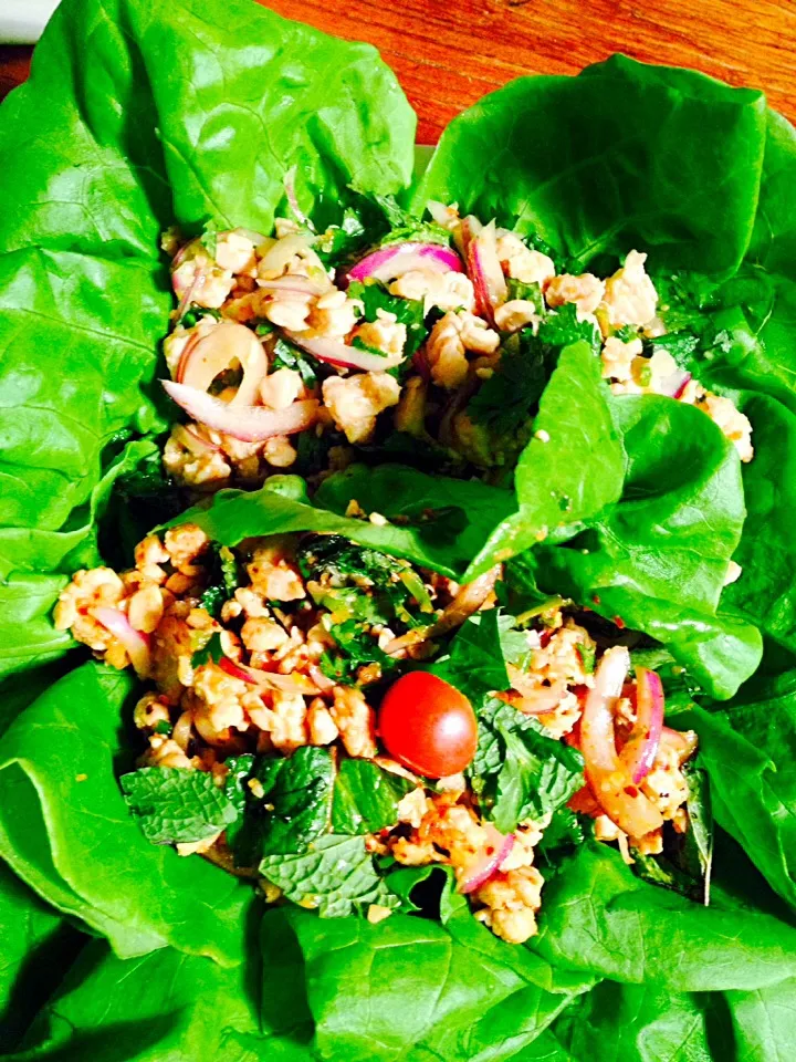 🐔 larb chicken half spicy ➕ not spicy|wikkyさん