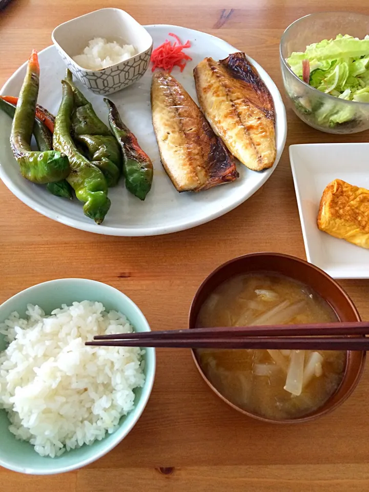 朝ご飯！塩サバ、万願寺とうがらし、出し巻き卵、白菜と塩昆布サラダ、大根と白菜のお味噌汁|naomiさん