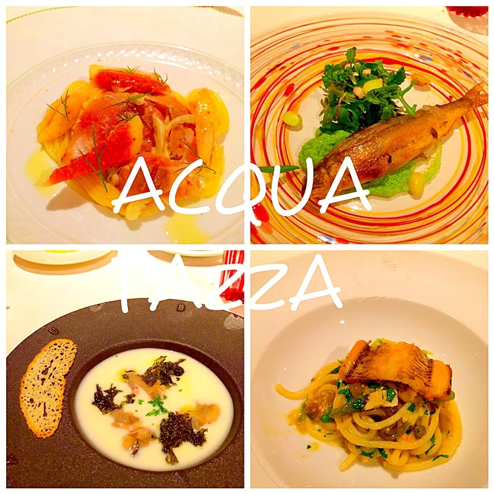 広尾 ACQUA PAZZA|クリスマスローズさん