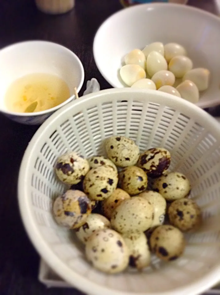 ItLoG Ng PuGo!!|GeMzKiTchさん