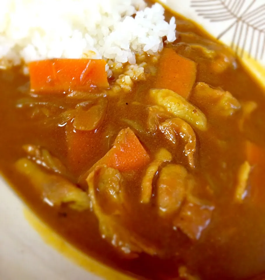 番外編  鳥海山カレー 奥様作|でおでおさん