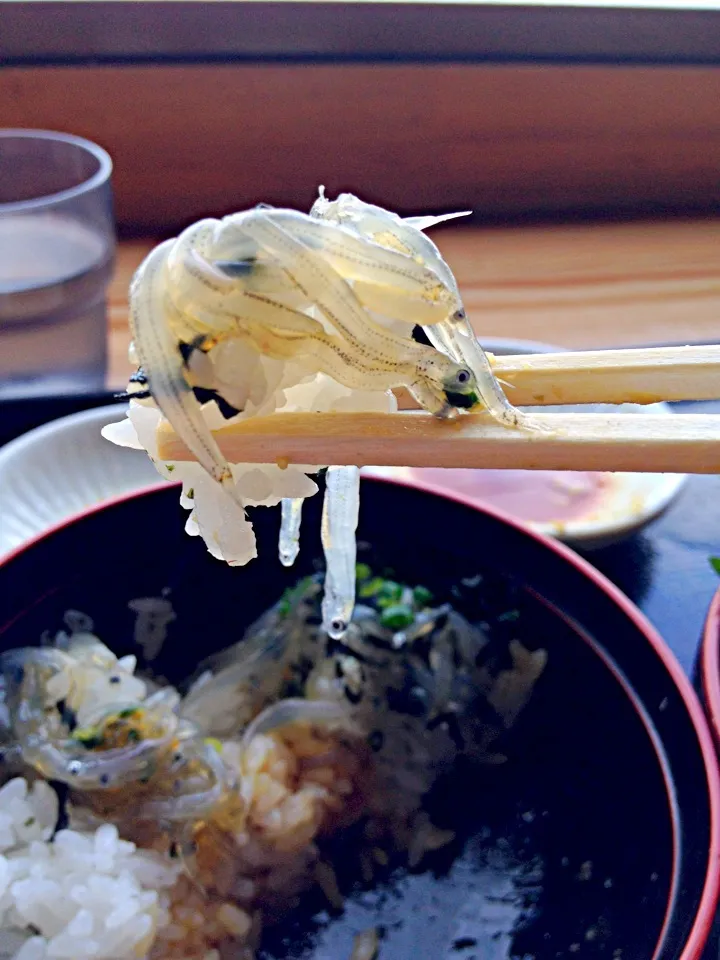 生しらす丼〜|舞さん