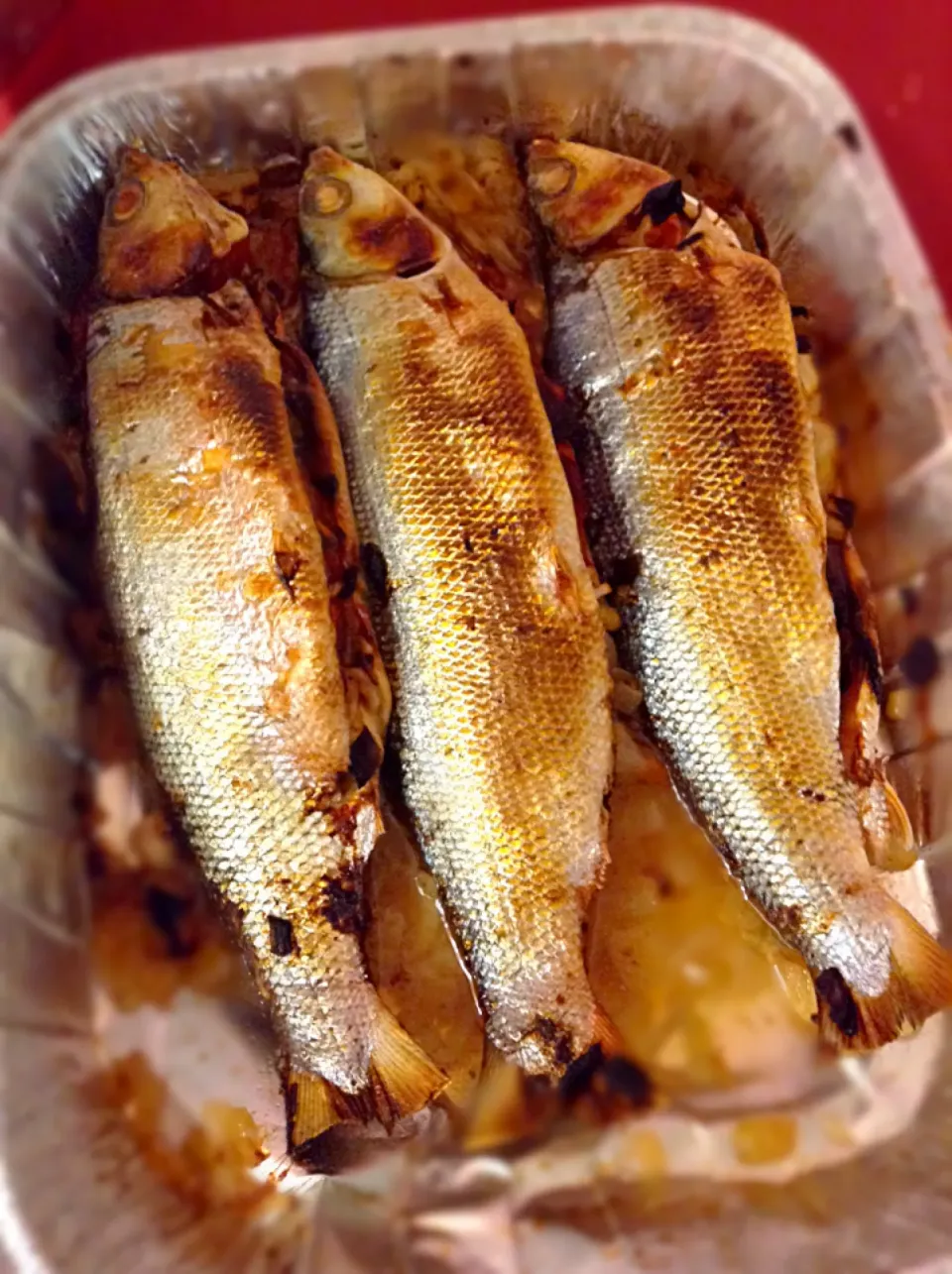 GriLLeD StuFFed MiLk FisH..|GeMzKiTchさん