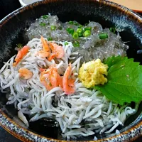 Snapdishの料理写真:しらす二色丼|ボールおかっさん