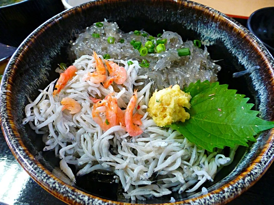 しらす二色丼|ボールおかっさん