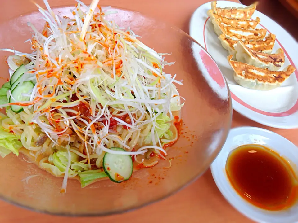 Snapdishの料理写真:冷やし坦々麺＆餃子🍜|マニラ男さん