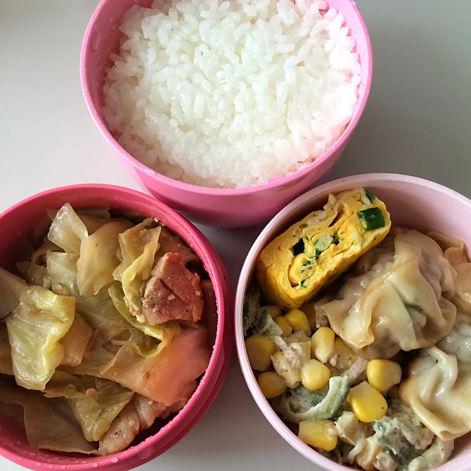 キャベツと豚肉の味噌炒め、餃子、ニラ卵焼き、ゴーヤサラダ。色味無視の冷蔵庫にある材料でお弁当。|Snack PIYOさん