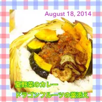 夏野菜のカレー  沖縄食材・ドラゴンフルーツの蕾を添えて|えりさん