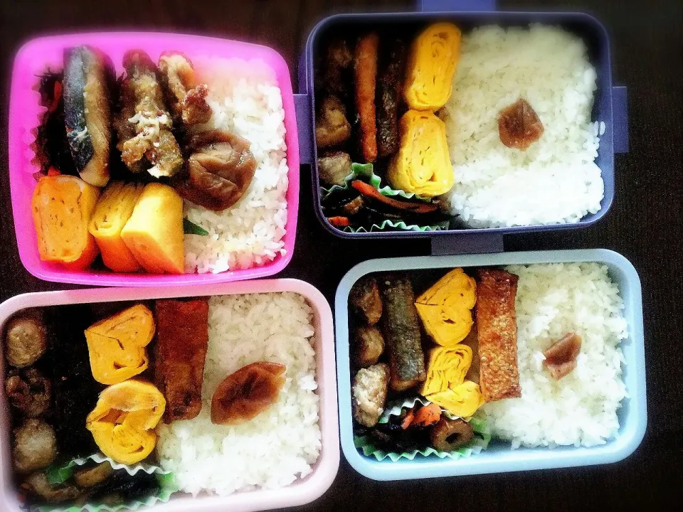 Snapdishの料理写真:2014.8.19　お魚、お肉欲張りお弁当♪|Rachi Hirokoさん