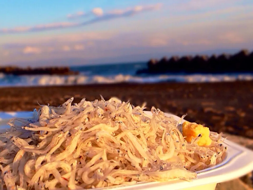 弁当 しらすめし|ふうてんさん