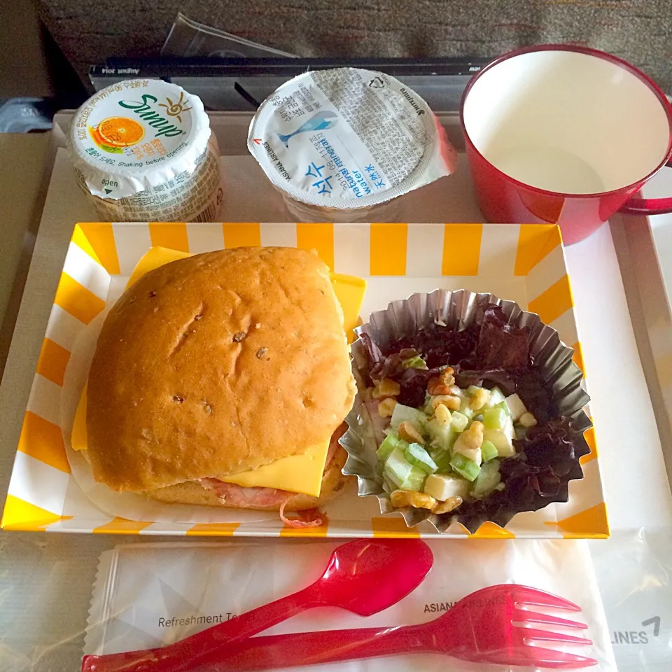 flight meal of OZ114 ICN-KIX|maixx ใหม่さん