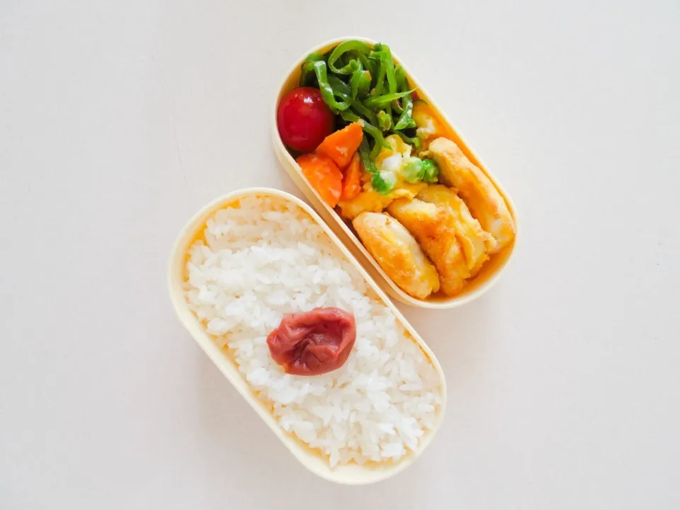 ササミのチーズピカタ弁当|みっちぃさん