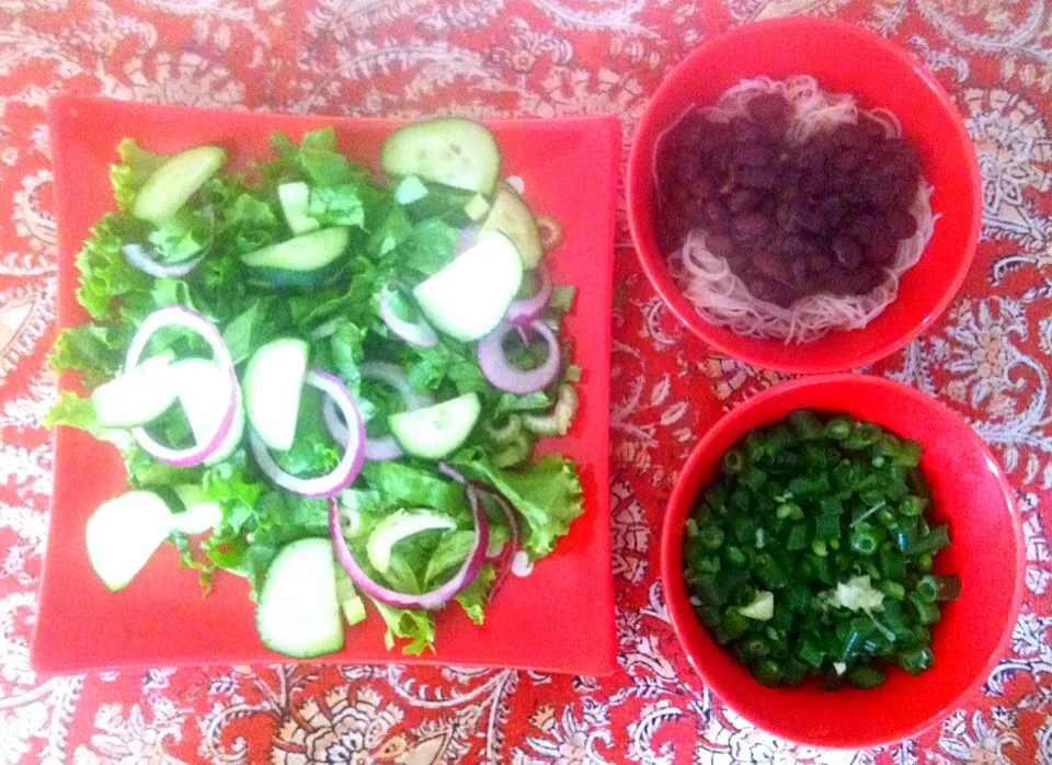 Salad with lettuce, cucumber, celery, and purple onion. Side of black beans with brown rice noodles and cooked green beans|victoria valerioさん