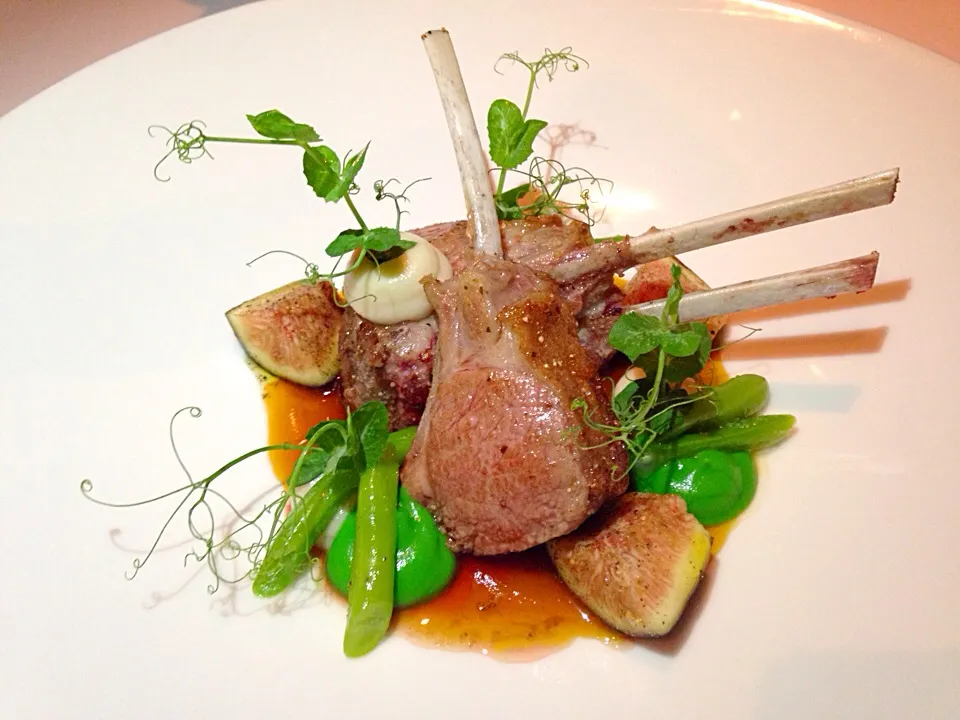 Snapdishの料理写真:Roasted rack of lamb|Obeoom Jumsai Na Ayudhyaさん