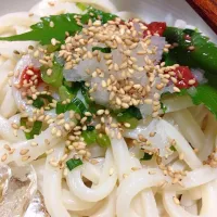 Snapdishの料理写真:ぶっかけうどん！|マリワンガンコさん