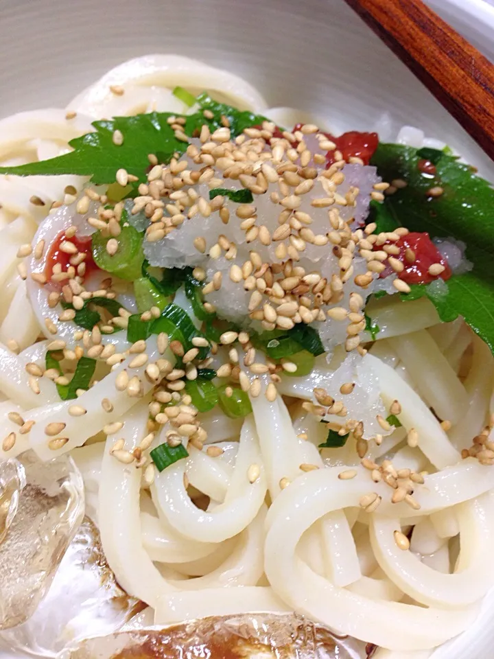 ぶっかけうどん！|マリワンガンコさん