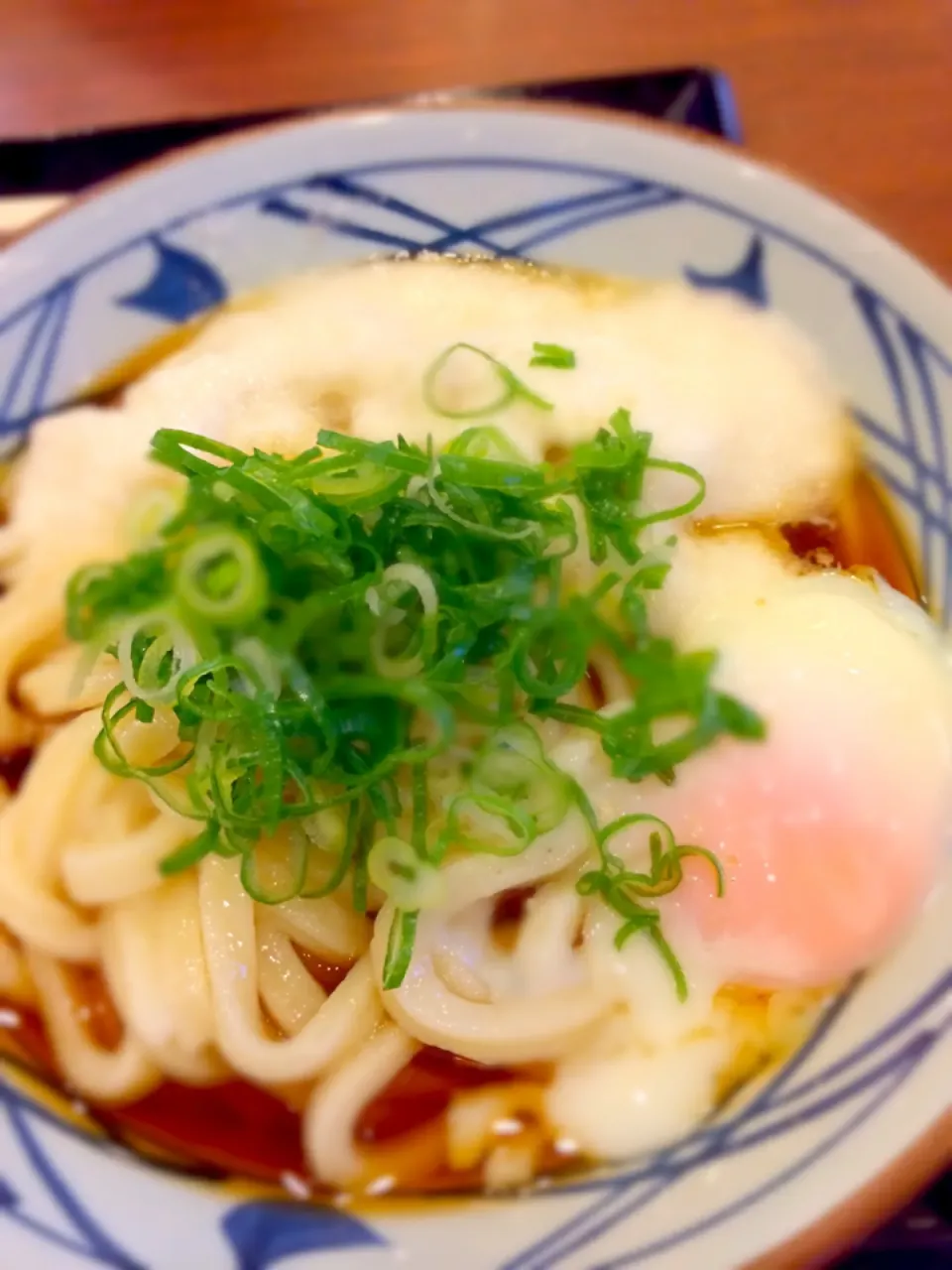 8/20まるかめうどん|おべんとかあさんさん