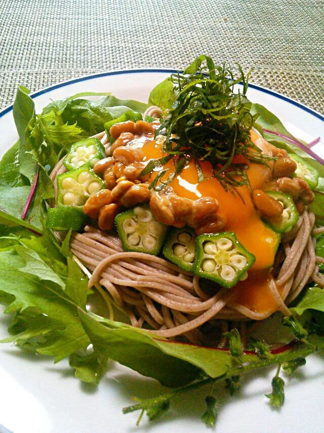 Snapdishの料理写真:8/21　今日のlunchは納豆オクラ蕎麦|ゆっこさん