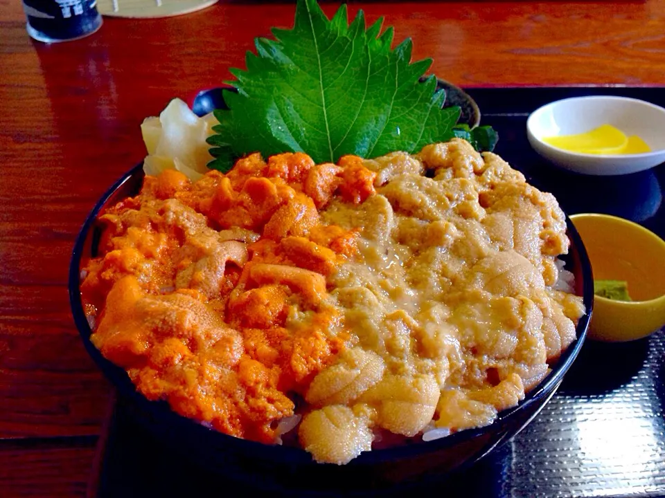 積丹中村屋スペシャルウニ丼|山城あいさん