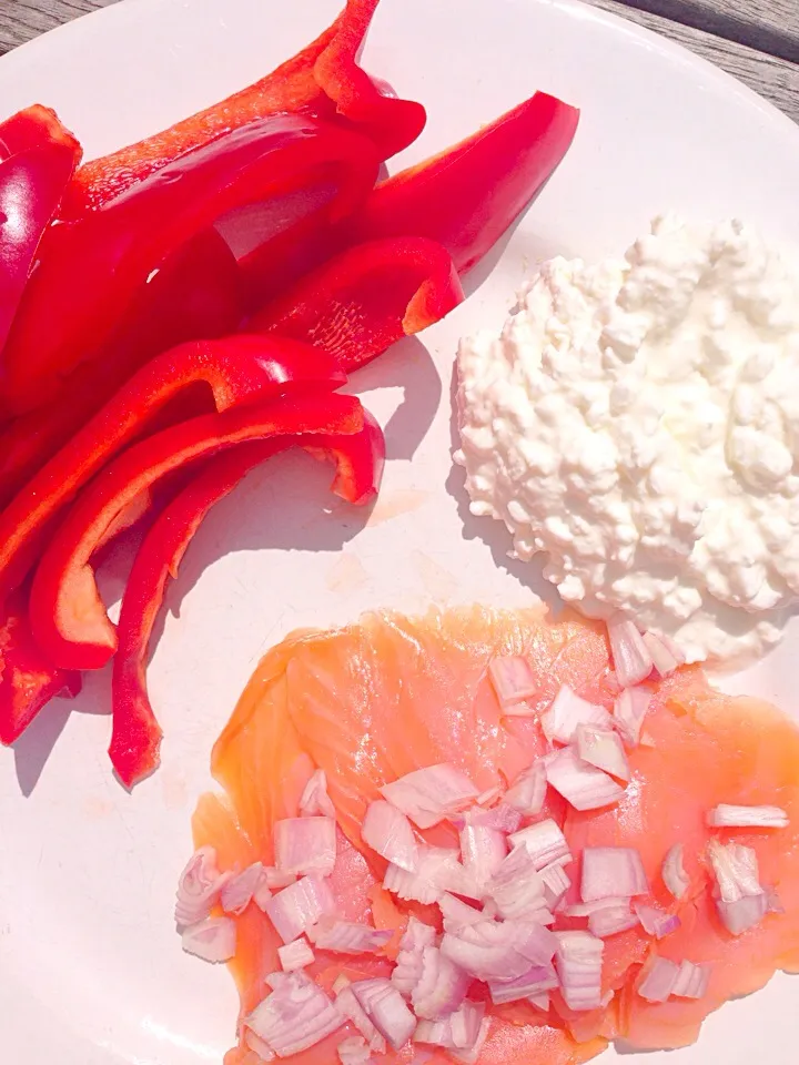 Salmon with onions, peppers and cottage cheese 😋|Alienaさん