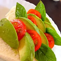 Simple avocado tomato sandwich